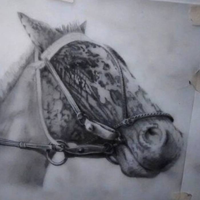 New Project (6)